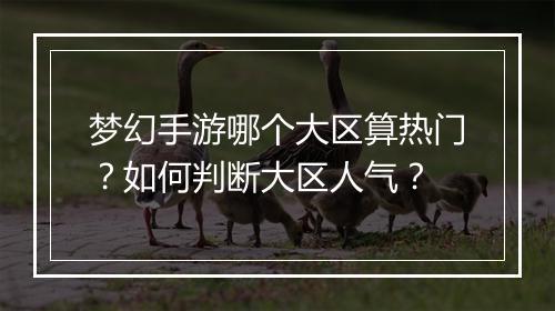梦幻手游哪个大区算热门？如何判断大区人气？