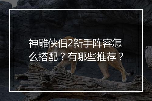 神雕侠侣2新手阵容怎么搭配？有哪些推荐？