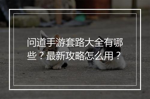 问道手游套路大全有哪些？最新攻略怎么用？