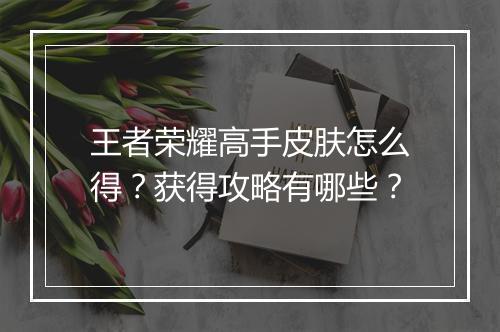 王者荣耀高手皮肤怎么得？获得攻略有哪些？