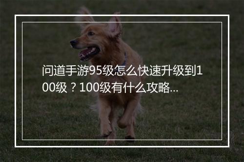 问道手游95级怎么快速升级到100级？100级有什么攻略？