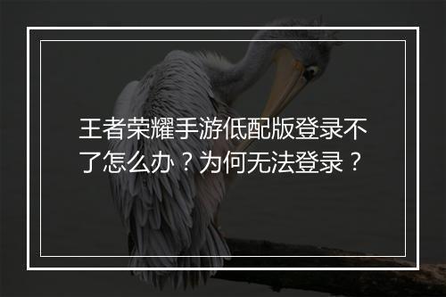 王者荣耀手游低配版登录不了怎么办?为何无法登录?
