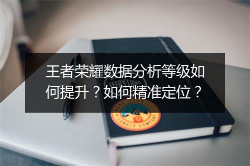 王者荣耀数据分析等级如何提升？如何精准定位？