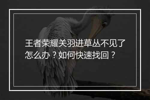 王者荣耀关羽进草丛不见了怎么办？如何快速找回？