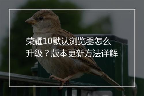 荣耀10默认浏览器怎么升级?版本更新方法详解