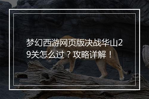 梦幻西游网页版决战华山29关怎么过？攻略详解！