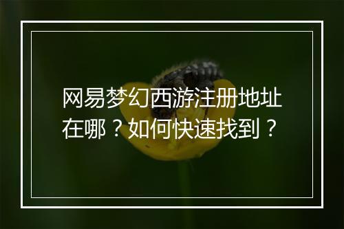 网易梦幻西游注册地址在哪?如何快速找到?