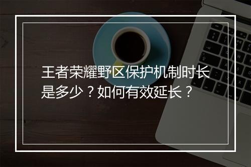 王者荣耀野区保护机制时长是多少？如何有效延长？