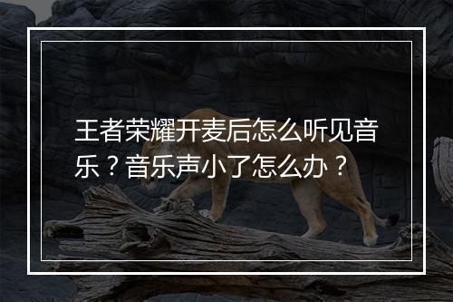 王者荣耀开麦后怎么听见音乐？音乐声小了怎么办？