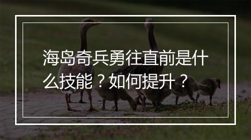 海岛奇兵勇往直前是什么技能？如何提升？