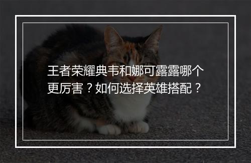 王者荣耀典韦和娜可露露哪个更厉害？如何选择英雄搭配？