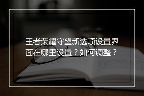 王者荣耀守望新选项设置界面在哪里设置？如何调整？