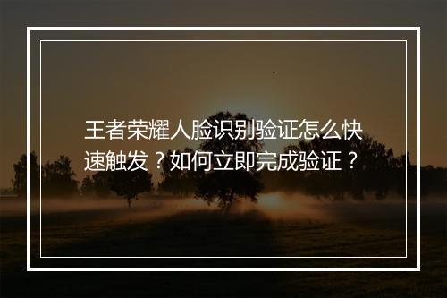 王者荣耀人脸识别验证怎么快速触发？如何立即完成验证？