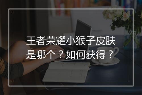 王者荣耀小猴子皮肤是哪个？如何获得？