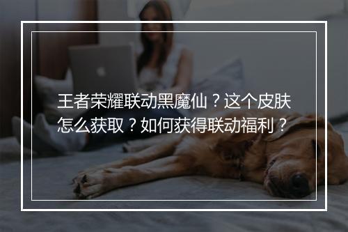 王者荣耀联动黑魔仙？这个皮肤怎么获取？如何获得联动福利？