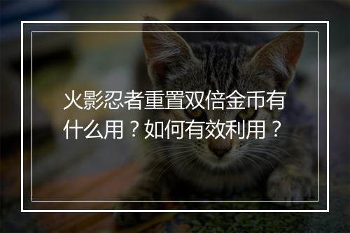 火影忍者重置双倍金币有什么用？如何有效利用？