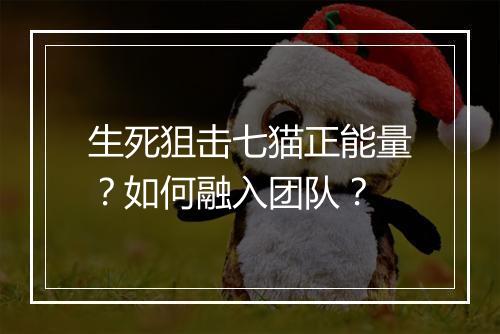 生死狙击七猫正能量？如何融入团队？