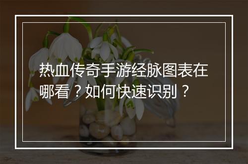 热血传奇手游经脉图表在哪看？如何快速识别？